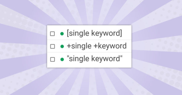 Wirklich alles zu SKAGs | Single Keyword Ad Groups